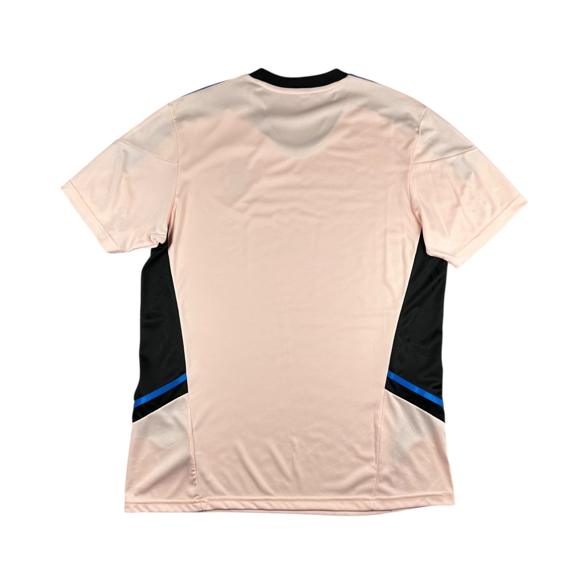 Manchester United 2022-23 Training Shirt (L) *BNWT - Kitplug